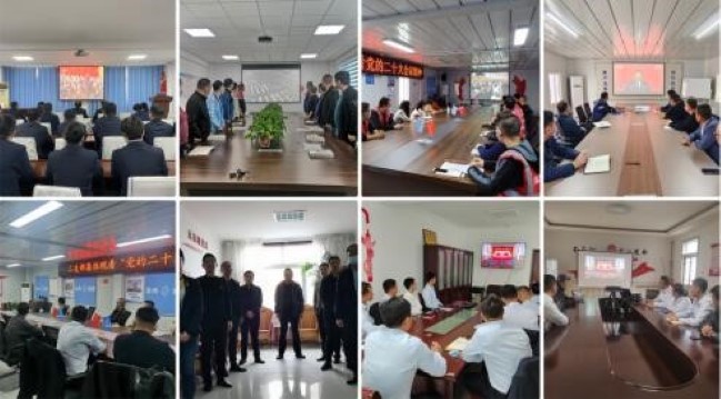 1681282698658075537.jpg 1.jpg